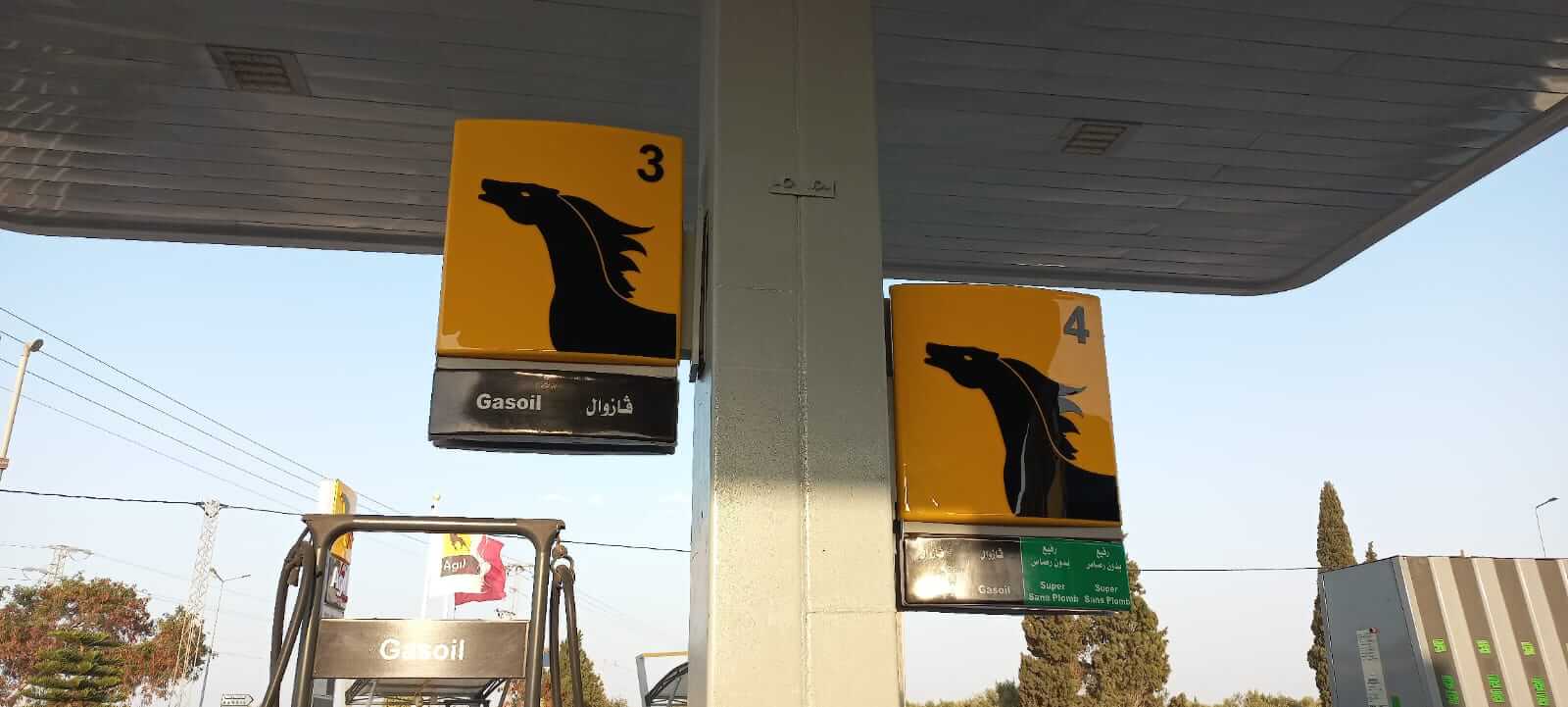 484079893_608444542186817_1173210036130044212_n